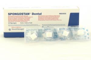 SPONGOSTAN DENTAL 1x1x1cm 24szt